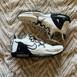 Mens Lebron Witness 6 Basketball Shoe 10.5